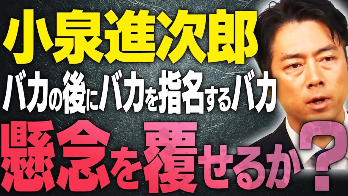【小泉進次郎】なぜ選ばれたのか?懸念爆大の自民党。島田洋一議員と吉川りな議員も喝をいれる。。。【文化人スペシャル特集】#岩屋 #石破総理