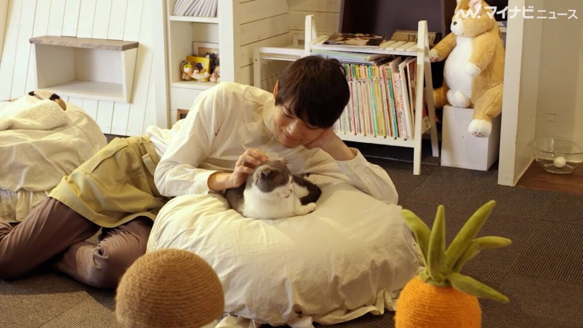 古川雄輝、猫カフェアルバイトで猫にまみれる!SPiCYSOLのカメオ出演にも注目 『劇場版 ねこ物件』本編映像公開