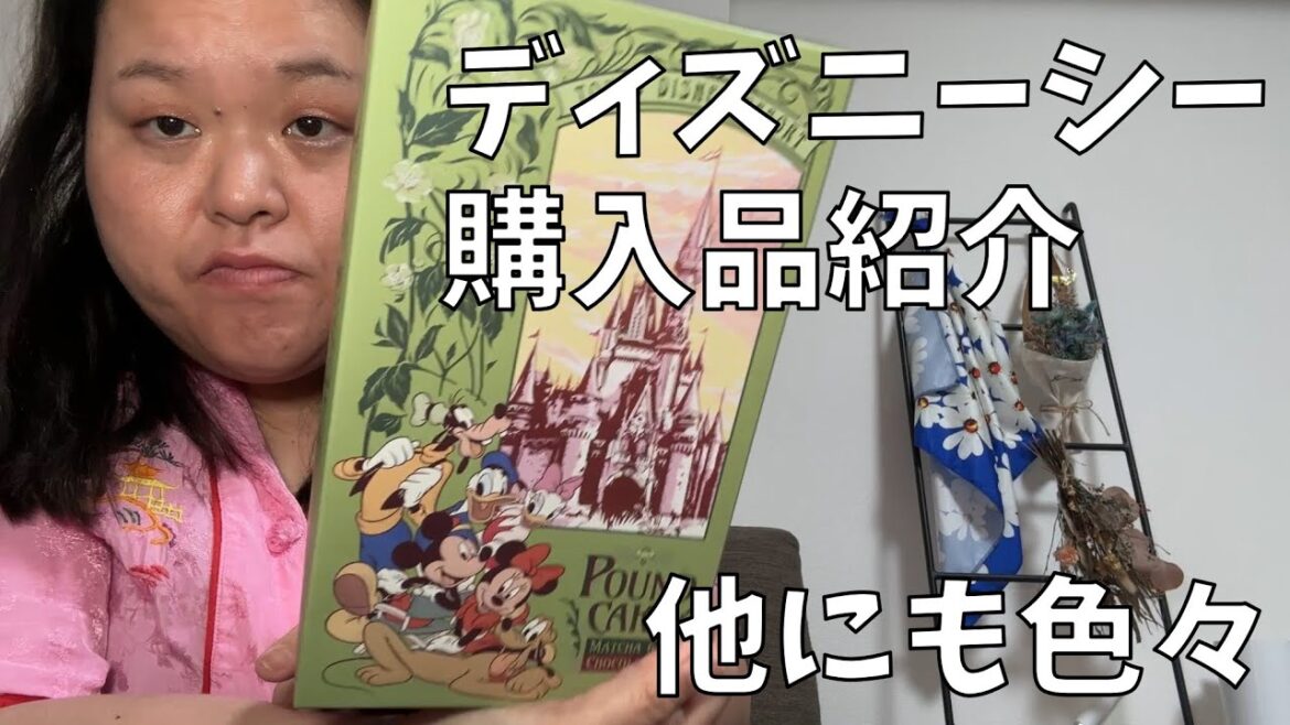 【ディズニーシー購入品紹介】パークに行く人に伝えたい!結構みんなやってない大事なこと!【シルバニアファミリー展40th購入品紹介】