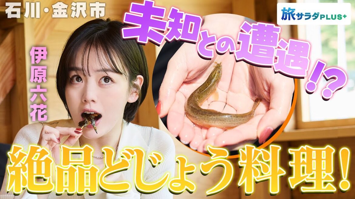 【伊原六花in石川・金沢市】未知との遭遇!?地元で愛され続ける大人のおやつ〈ロコレコ〉