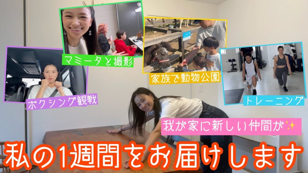 【1WEEK VLOG】新しい家具、ボクシング観戦、母子収録、家族時間、トレーニング