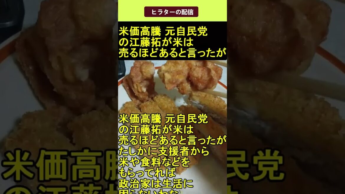 米価高騰 元自民党の江藤拓が米は売るほどあると言ったが 2025.05.30 ヒラターの配信 ショート #shorts