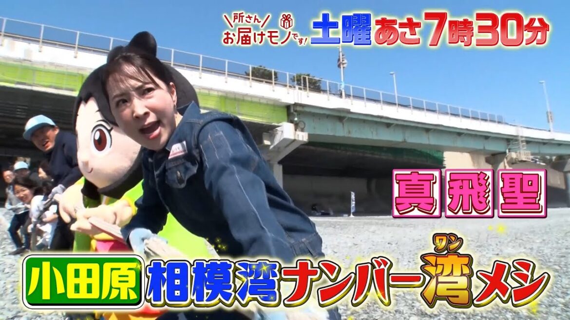 『所さんお届けモノです!』真飛聖が相模湾で地引網漁に挑戦!獲れたて海鮮丼をお届け!! 5/17(土)【TBS】