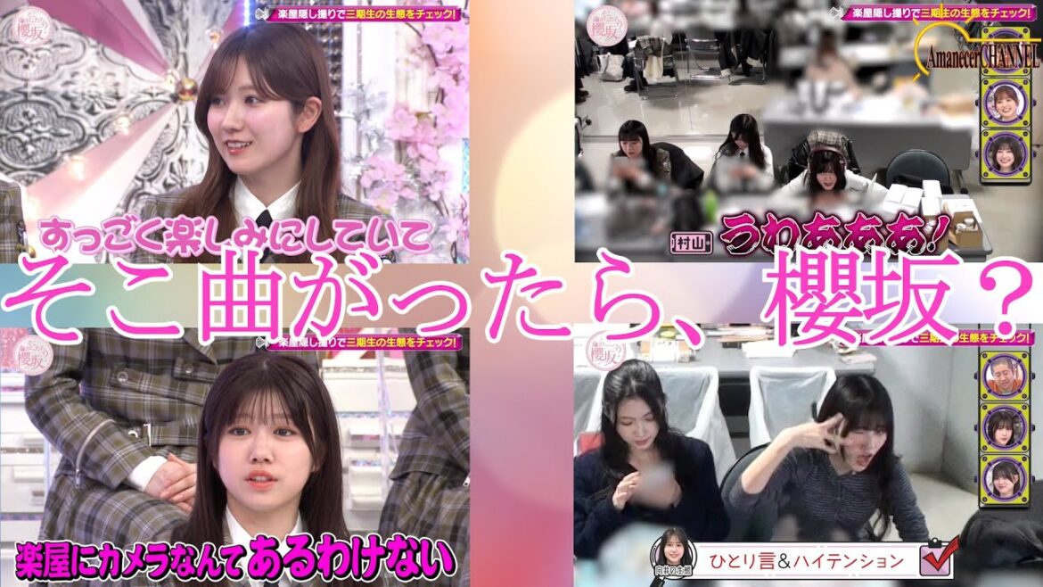 【櫻坂46】櫻坂46の冠番組そこ曲がったら、櫻坂?の2025年6月1日放送を観て感想を語ってみました。【そこさく】