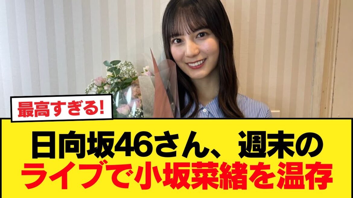 【朗報】日向坂46さん、週末のライブで小坂菜緒を温存【日向坂46HOUSE】#日向坂46 #日向坂 #日向坂で会いましょう #乃木坂46 #櫻坂46