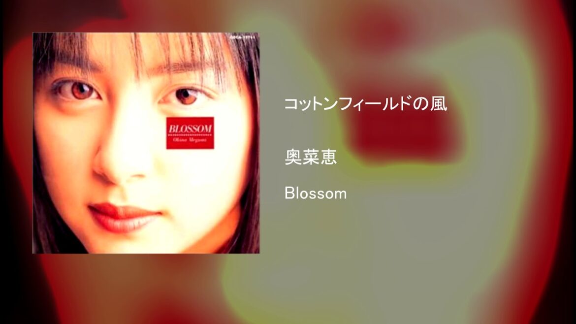 奥菜恵 – コットンフィールドの風