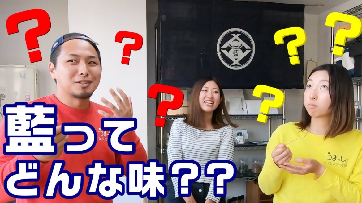 【食用藍】阿波藍食べてみた!うまっしとくしま発掘隊