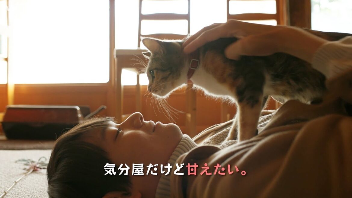 古川雄輝、猫とイチャイチャ!猫と暮らす姿にほっこり 『劇場版 ねこ物件』ショート予告映像公開