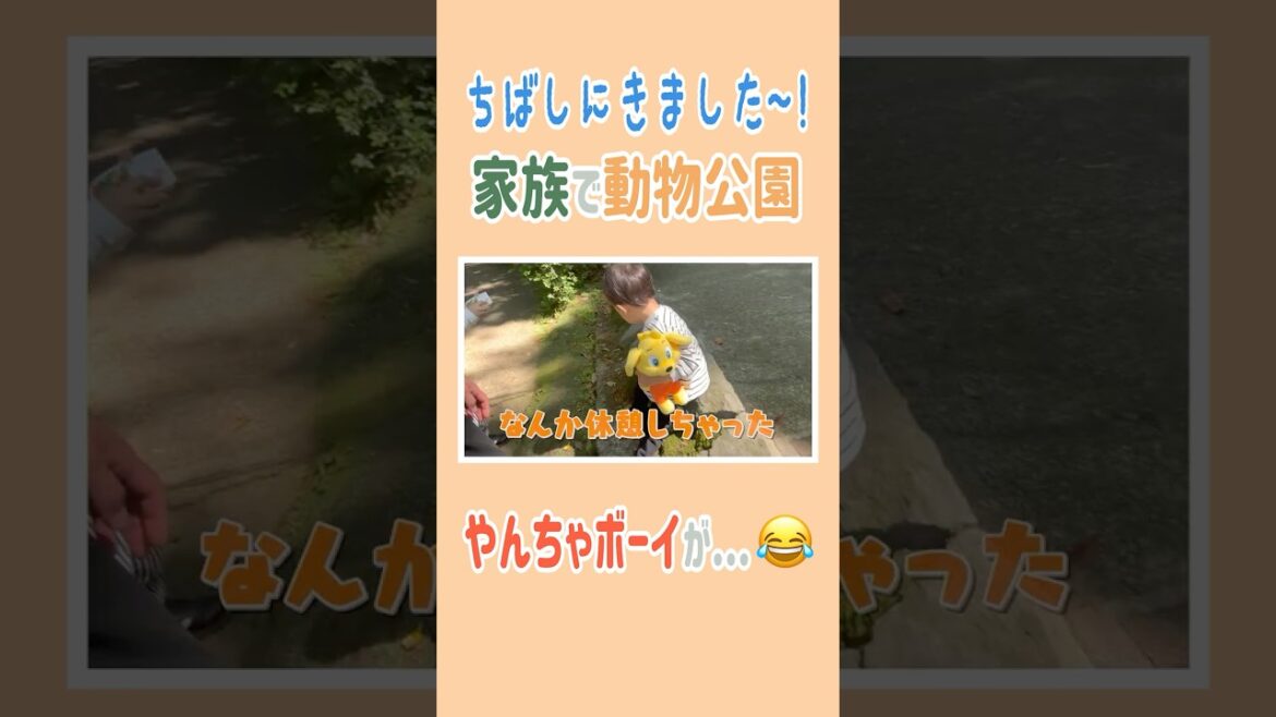 ちばしにきました~! 家族で動物公園🦁やんちゃボーイが…😂 #高橋ユウ #yutakahashi #切り抜き #shorts #動物園 #1週間 #vlog #2児のママ