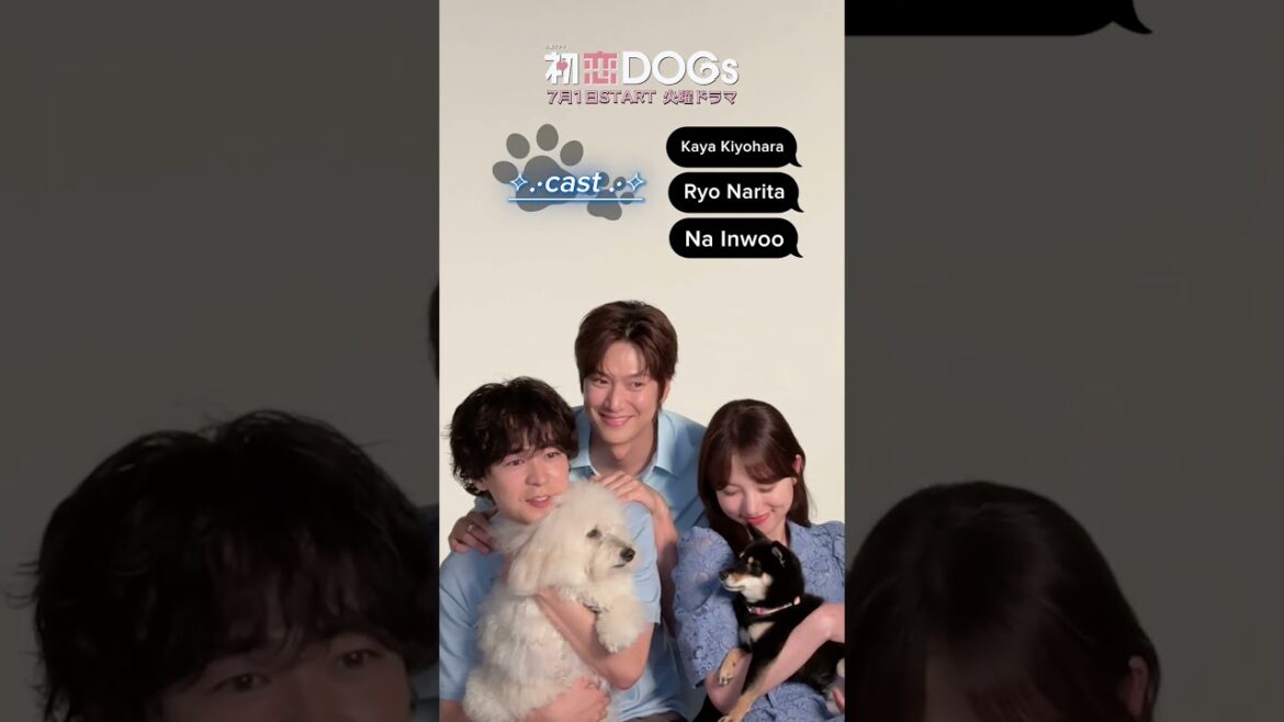 『#初恋DOGs』🐕ポスタービジュアルメイキング📸 #清原果耶 #成田凌 #ナイヌ