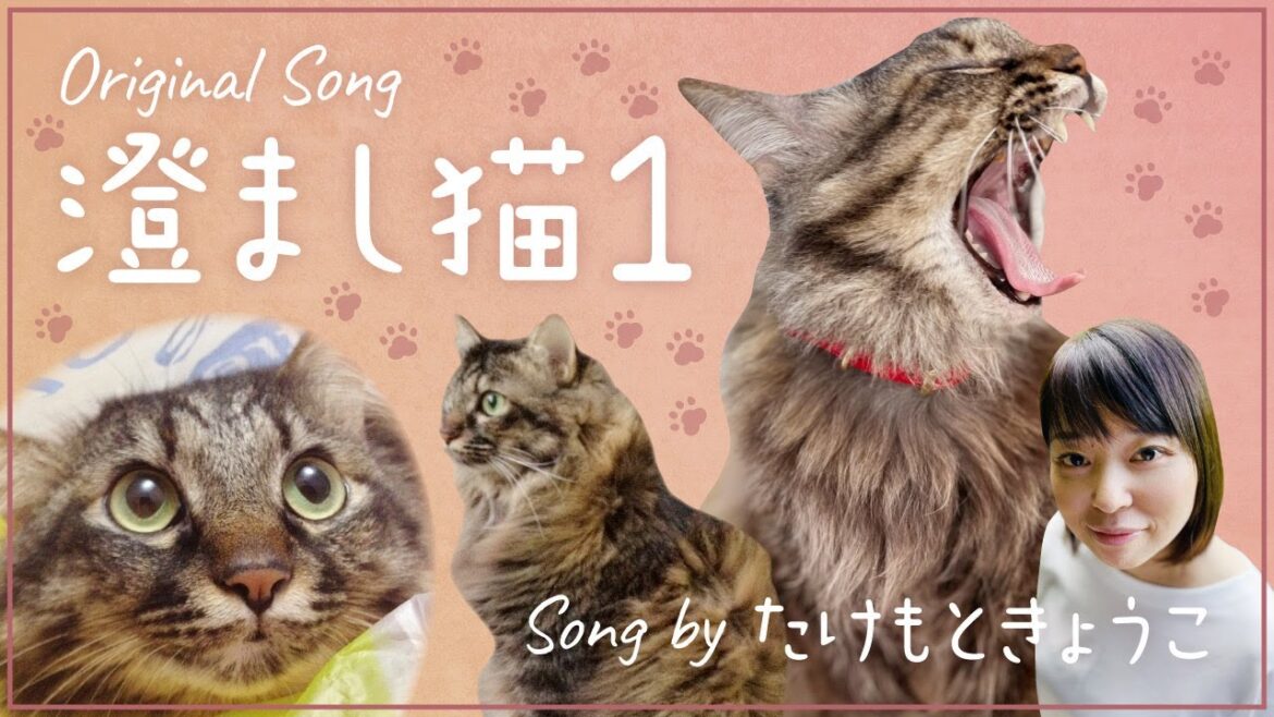 オリジナル曲『すまし猫1』たけもときょうこ Takemoto Kyoko