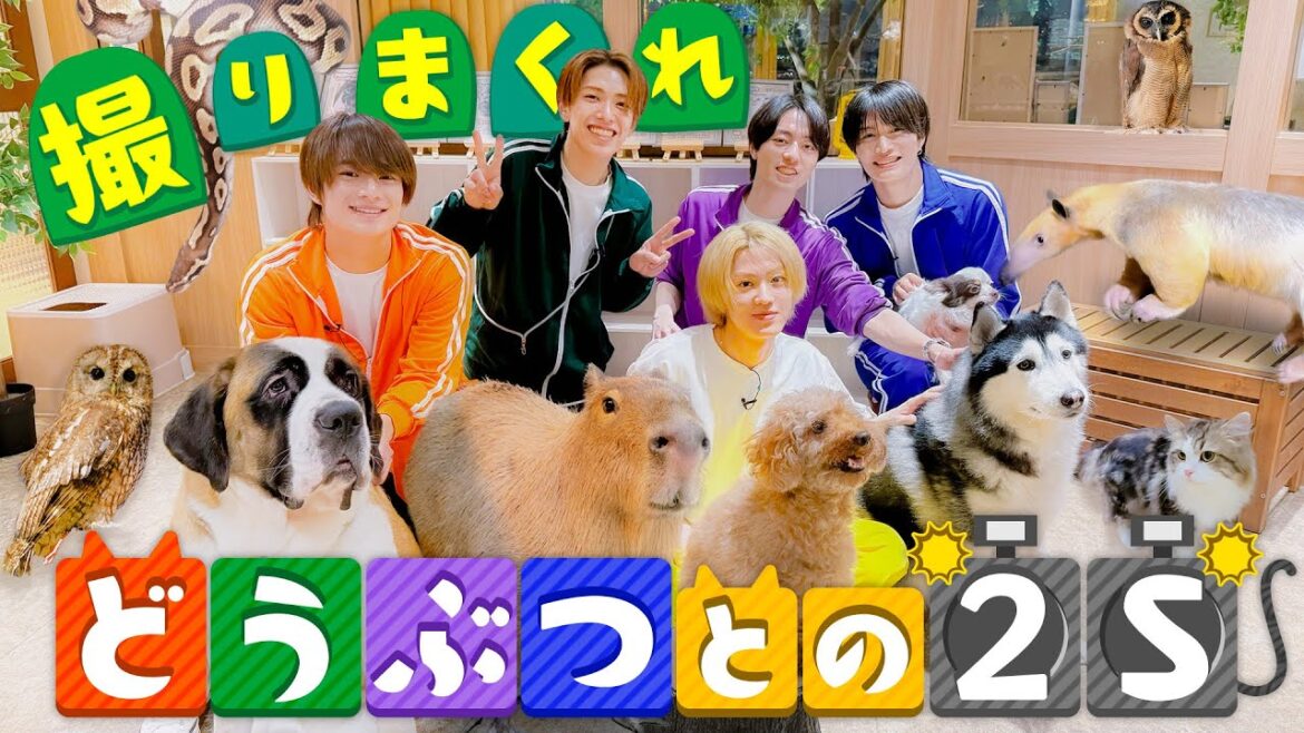 ACEes【どっちが可愛い???】動物たちと僕たち…笑笑