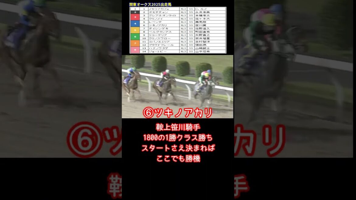 競馬ファン必見!関東オークス2025の出走馬と予想を大公開!