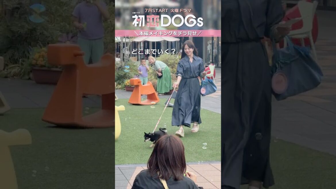 『#初恋DOGs』#清原果耶 さん、クランクイン🎬