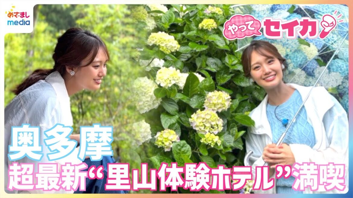 「チルタイムさいこ~!」井上清華キャスターが奥多摩の超最新”里山体験ホテル”を満喫&日本初の森林セラピー専用ロードで新緑ハイキング♪初夏の大自然を体験リポート【やってセイカ】