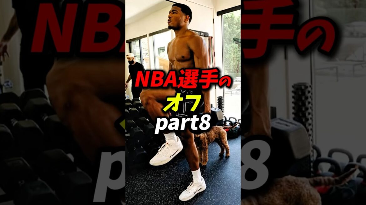 NBA選手のオフパート8 #nba #八村塁 #レイカーズ