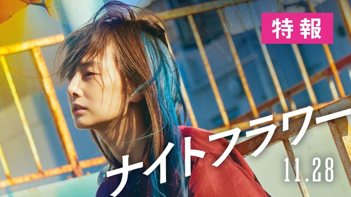 映画『ナイトフラワー』【特報】11月28日(金)全国公開
