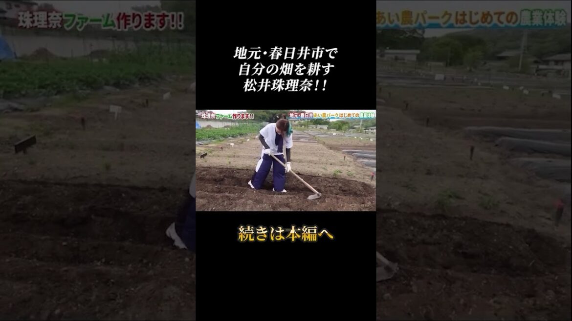 自分の畑で農作業する松井珠理奈!!#shorts