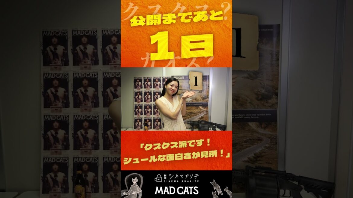 MAD CATSのボス猫こと!#愛甲ひかり さん!座ってる劇中では一回も立たない!いや立つのか?乞うご期待 #shorts