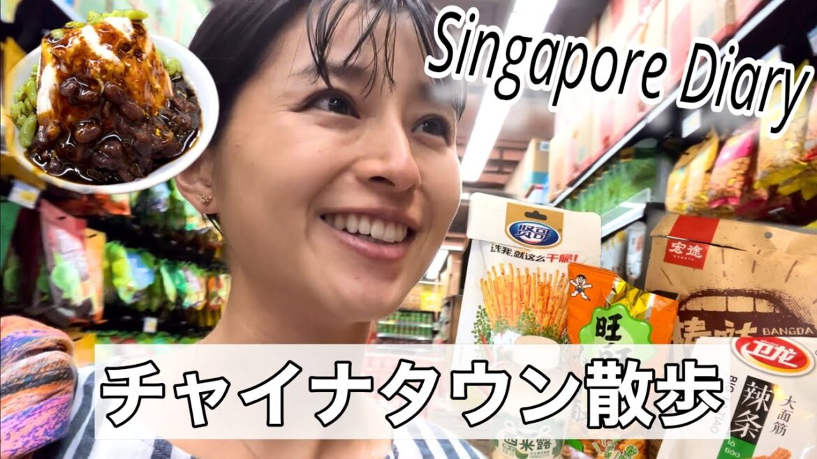 【Vlog】チャイナタウン/念願のスイーツ/中国お菓子食べ比べ🍘