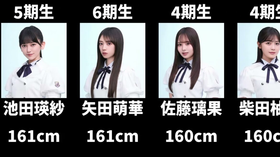 現在の乃木坂メンバーを身長順に並べてみた #乃木坂46