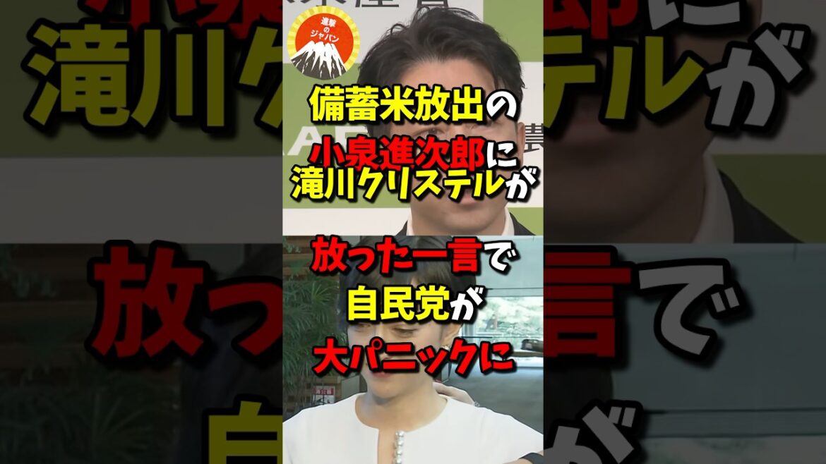 🔥10万再生突破!!備蓄米放出の小泉進次郎に滝川クリステルが放った一言で自民党が大パニックにw