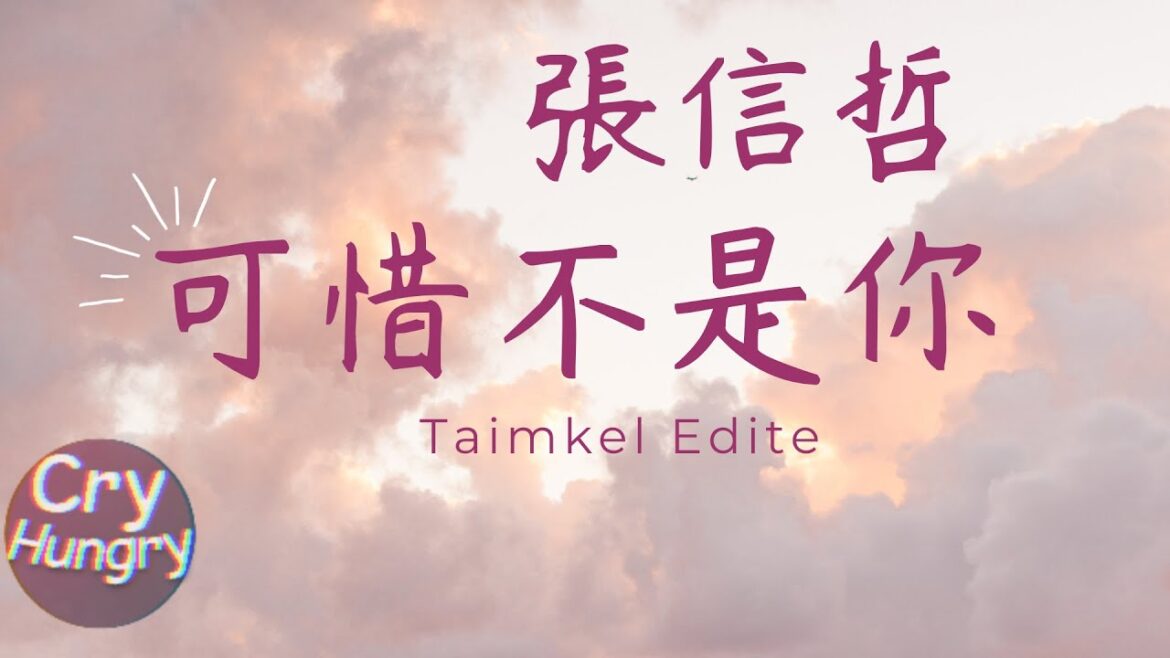 用Kaptioned做歌詞字幕 張信哲 – 可惜不是你《可习不是尼》可惜不是尼 梁靜茹 会有那么一天 edit YouTube auto captions