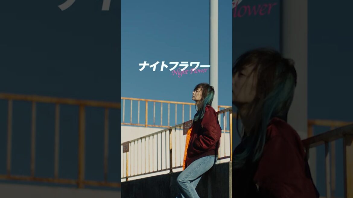 #内田英治 監督最新作! #北川景子 主演 映画『#ナイトフラワー』【特報】11月28日(金)全国公開 #映画