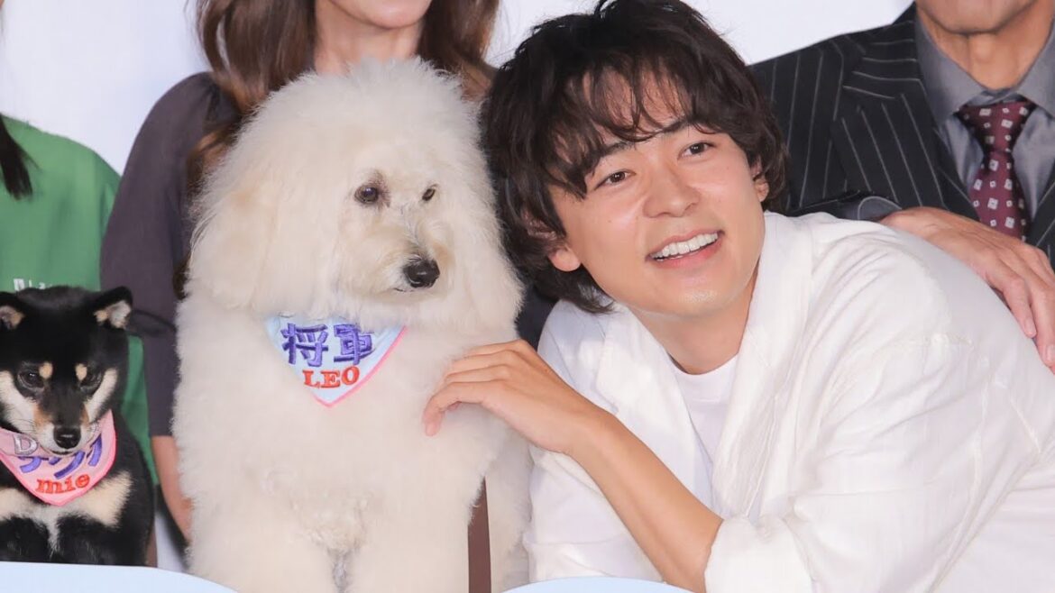 🐶💕初恋とワンコが織りなす癒しの物語!『初恋DOGs』制作発表会リポート🌸🎬