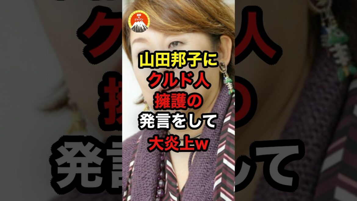 山田邦子にクルド人擁護の発言をして大炎上