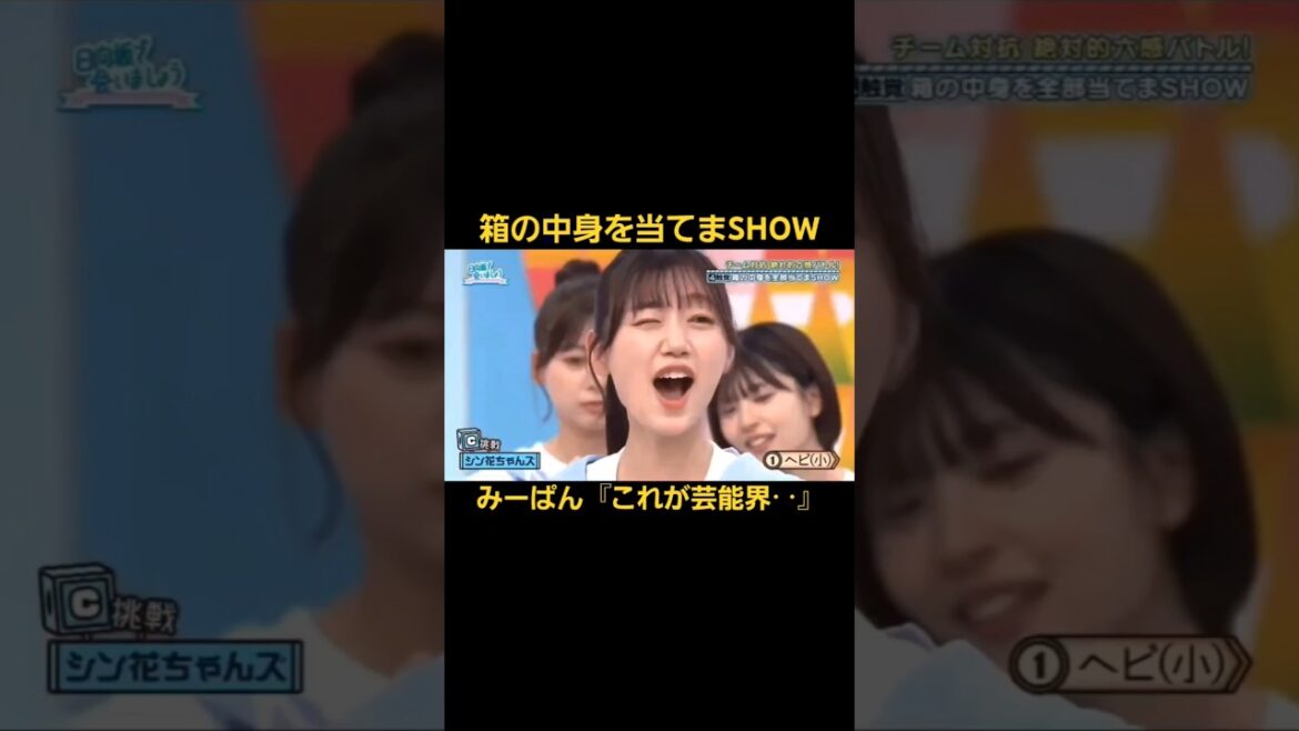 みーぱん『これが芸能界‥』芸能界体感中#佐々木美玲#みーぱん#日向坂46#ひなあい#卒業写真だけが知ってる#shorts