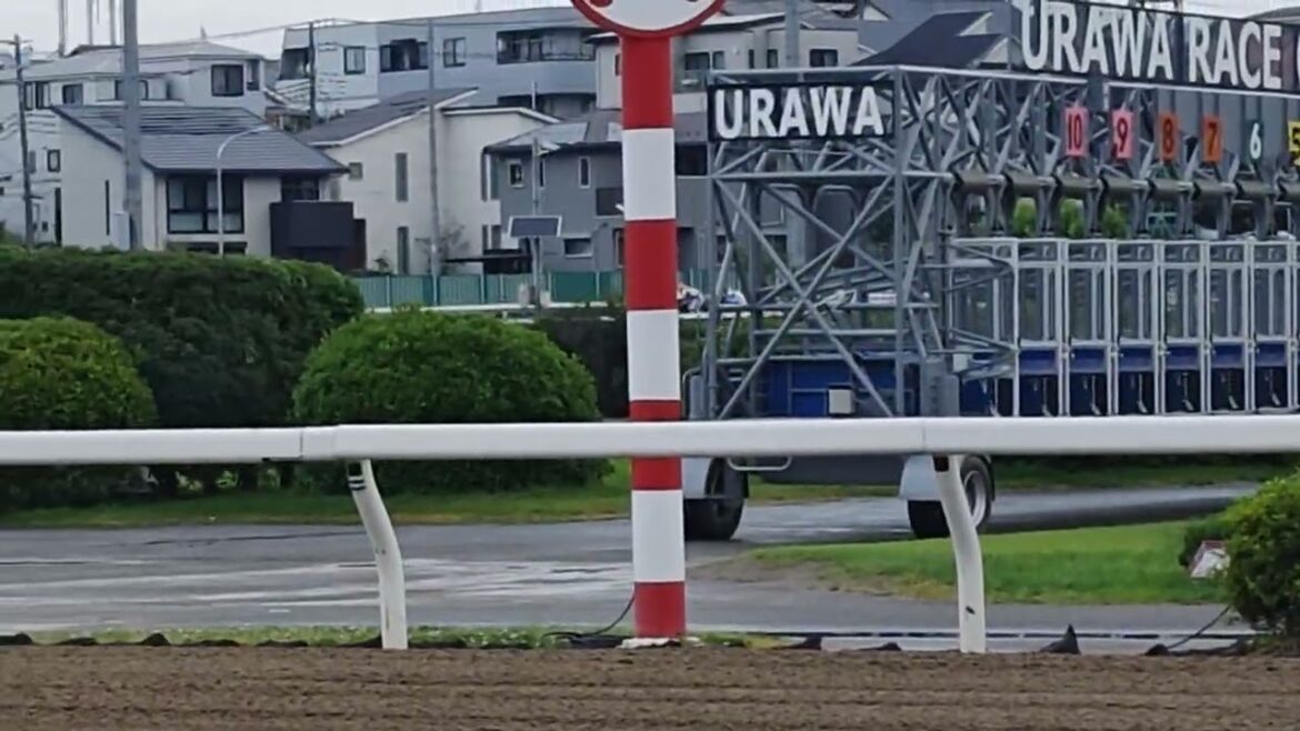 #浦和競馬 #3日目 #第9r #浦和800ラウンド #勝利 3番トツキーホレット号🐴中山遥人騎手🏇㊗️ #トツキーホレット 🐴 #中山遥人 #おめでとう #3連単 3-2-8 1.330円