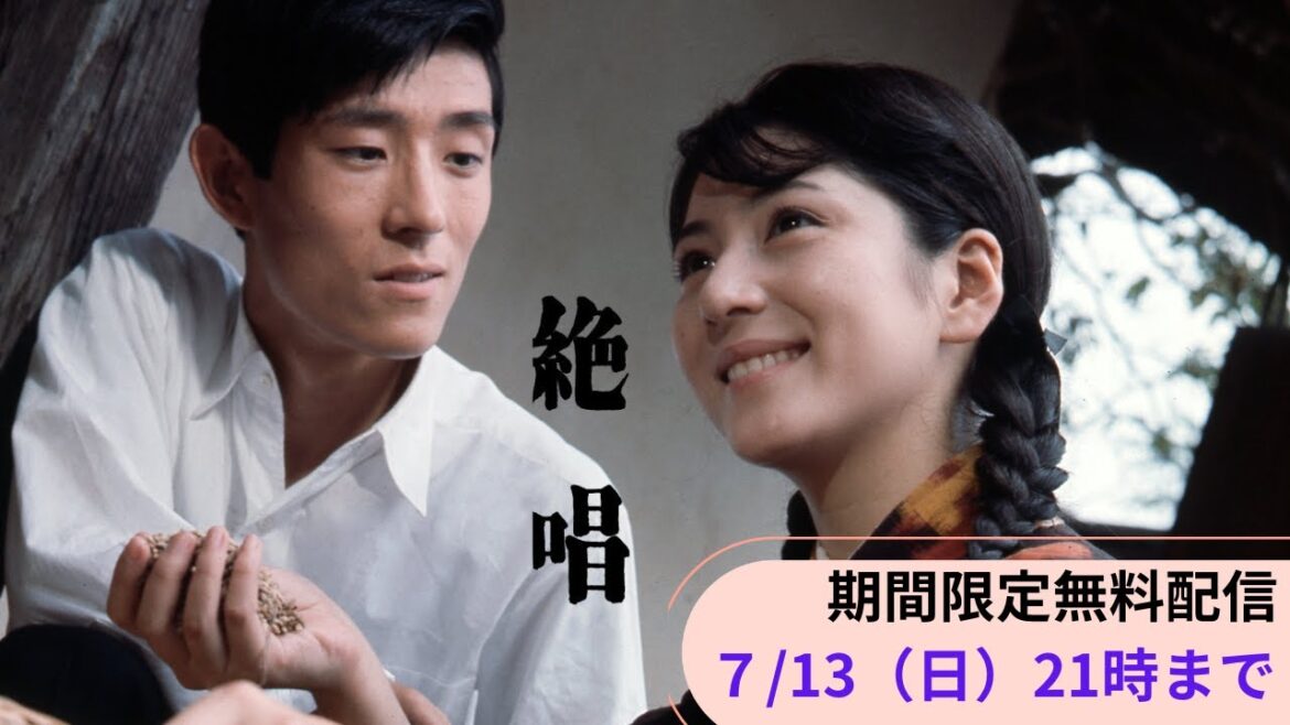 【リクエスト作品】日活スター男優&女優シリーズ 舟木一夫・和泉雅子「絶唱」