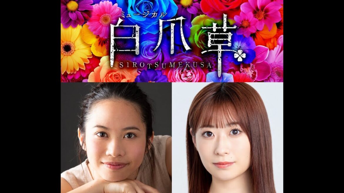 B1- ミュージカル『白爪草』2026年1月上演決定 屋比久知奈×唯月ふうかが挑む“2人劇”