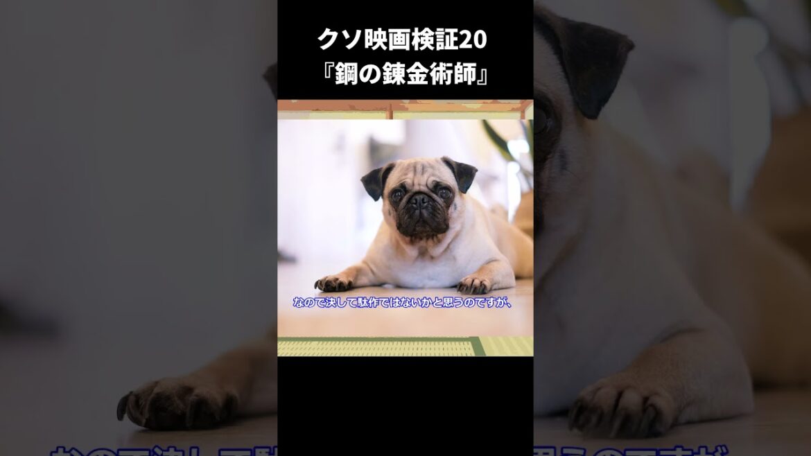 【ゆっくり映画雑談】クソ映画検証20『鋼の錬金術師』【ネタバレ無し】