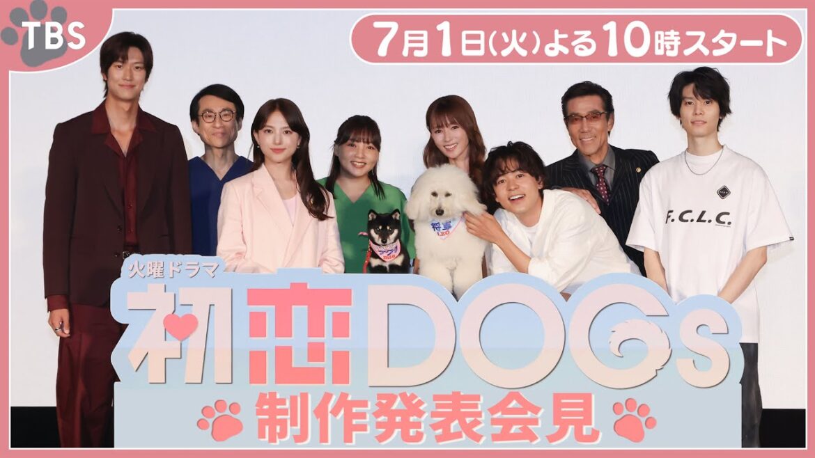 豪華出演者が勢揃い!! 劇中登場の愛犬・将軍&サクラも登壇!! 火曜ドラマ『初恋DOGs』制作発表🐾【TBS】