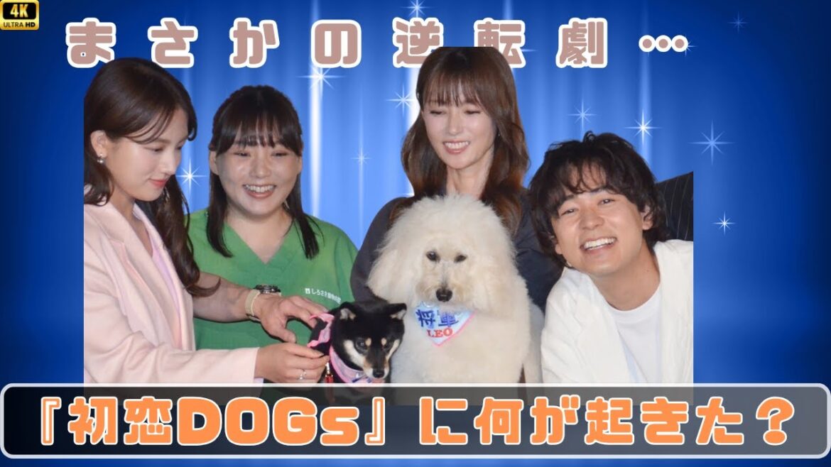 地味ドラマかと思いきや超衝撃!『初恋DOGs』が”演技狂騒劇”だった件|清原果耶・成田凌・深田恭子の本気