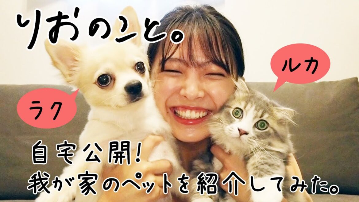 自宅公開!我が家のペットを紹介してみた。【しゅみのこと】I 寺本莉緒