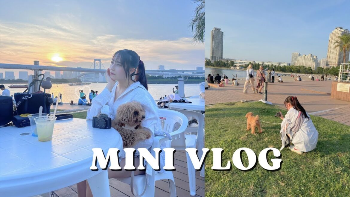 【Vlog】愛犬あるちゃんとのゆるゆる動画