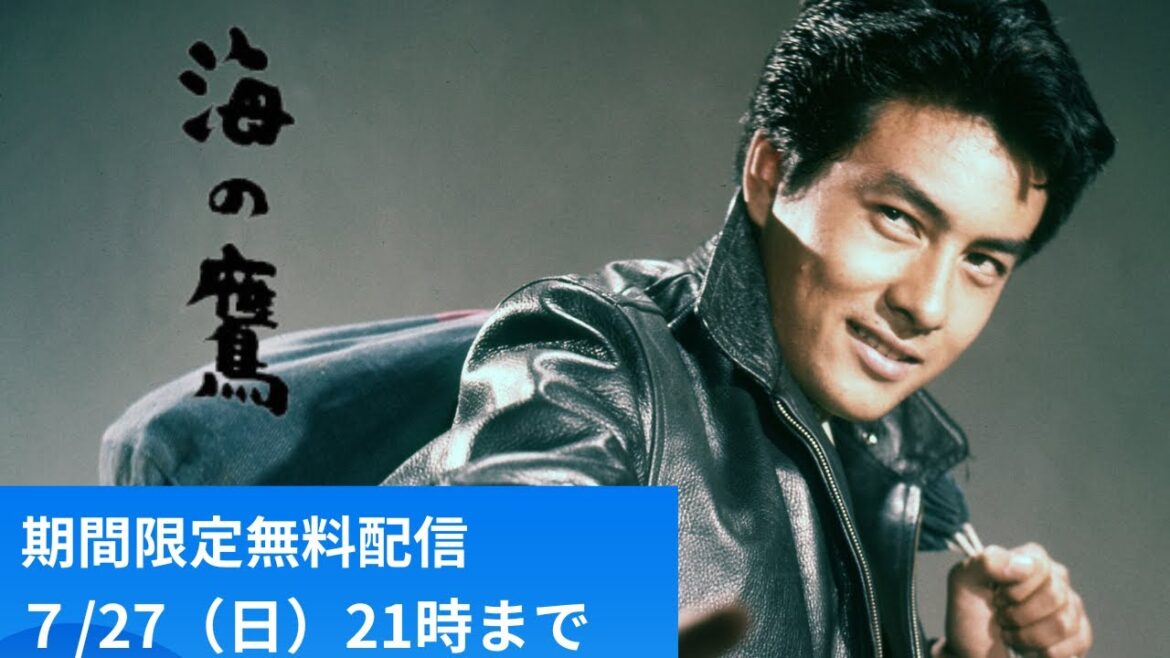 日活スター男優シリーズ 高橋英樹「海の鷹」