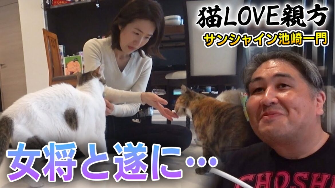 【二子山親方と保護猫みーちゃん】急接近する女将に負けじと猫LOVE親方も・・・【サンシャイン池崎一門】