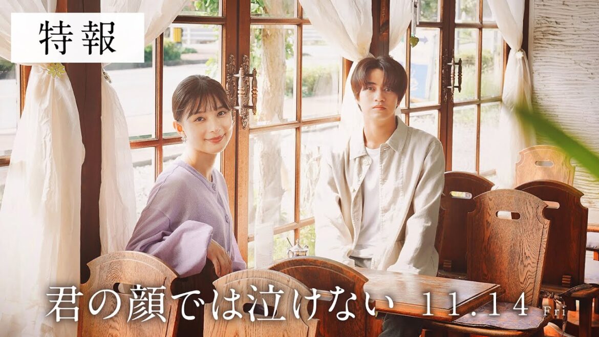 11.14公開 映画『君の顔では泣けない』特報