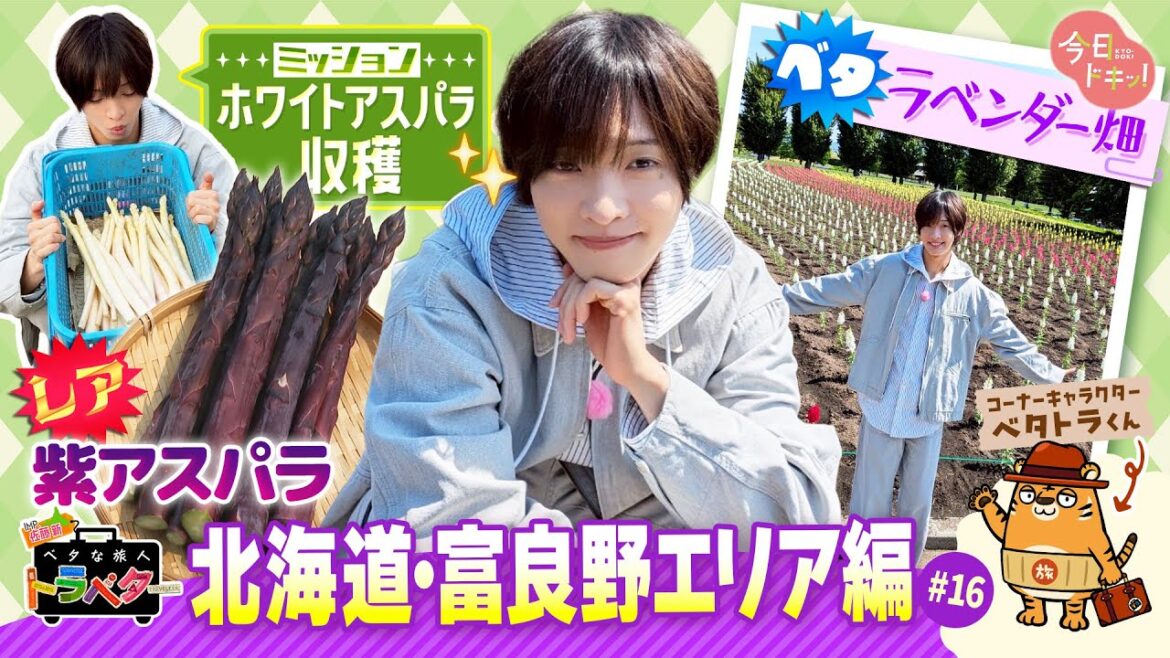 #16 IMP.佐藤 新くんがベタな富良野町エリアを満喫!「ベタな旅人 トラベター」(6月19日放送)