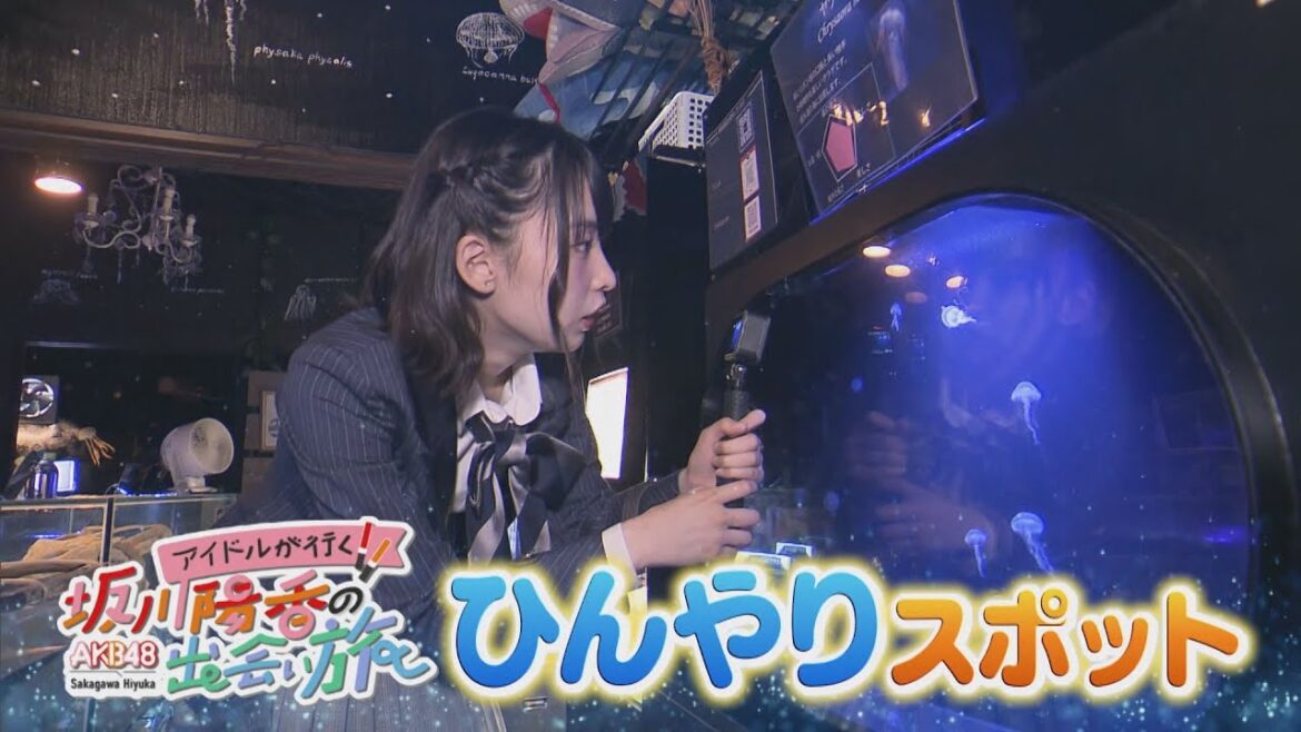 にじパレ アイドルが行く!坂川陽香の出会い旅 ~夏のひんやり探訪~
