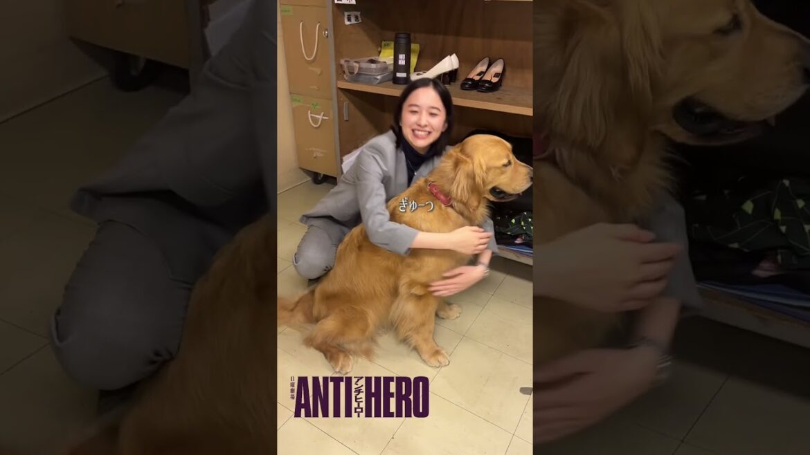 ミルとの動画part1🐕『アンチヒーロー』#長谷川博己 #北村匠海