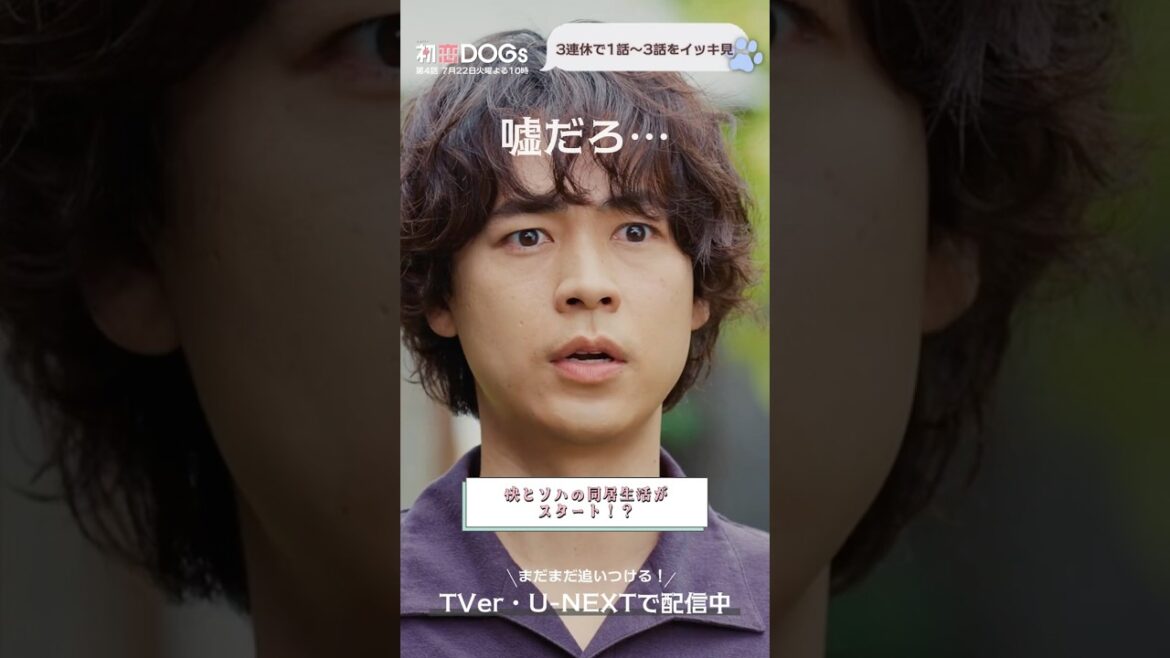 『#初恋DOGs』4話本編を先行公開!🐶#成田凌 #ナイヌ