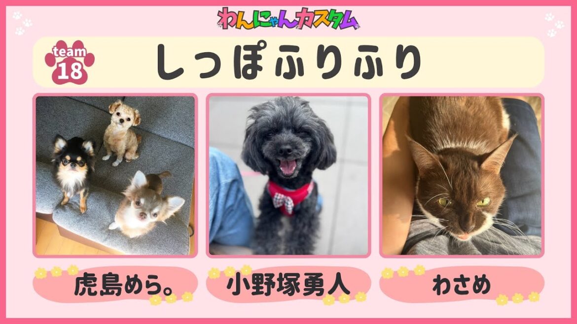 【 #APEX 】ダイヤ3人組でがんばるぞぉぉぉぉ!!【 #わんにゃんチャリティーカスタム 】