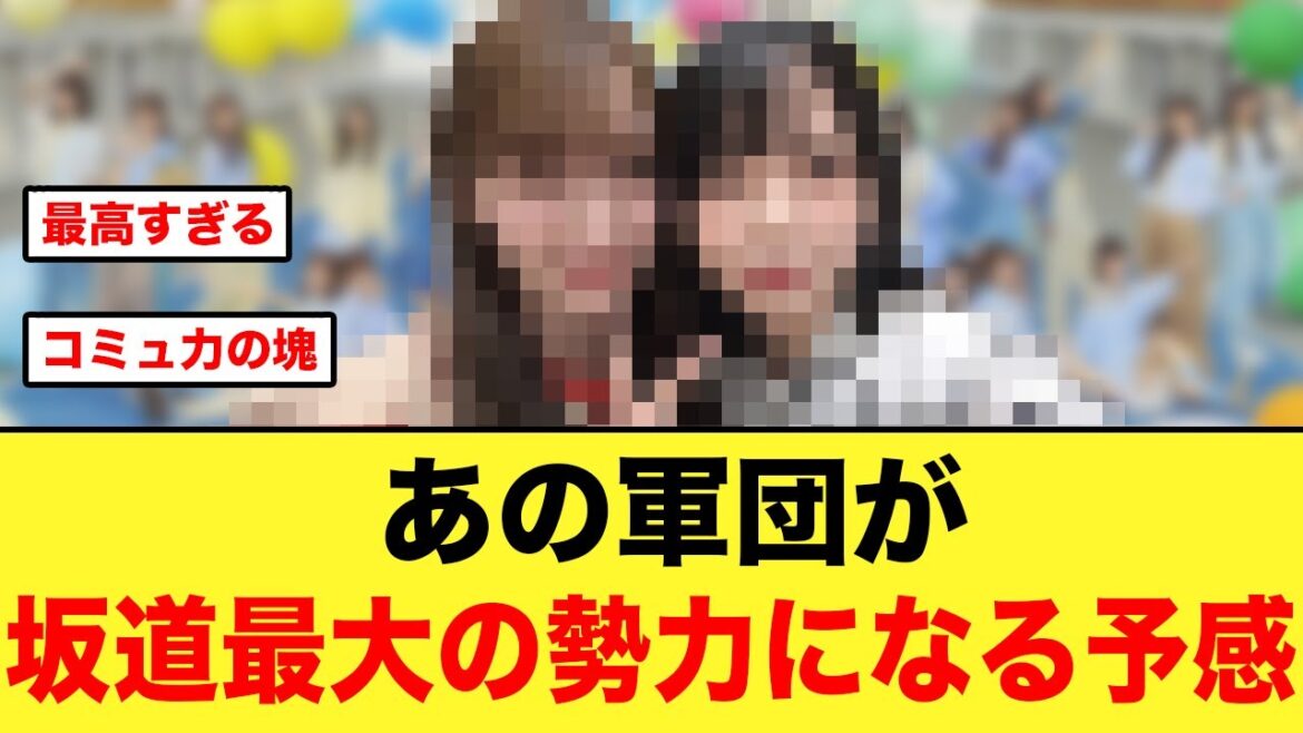 あの軍団が坂道グループ屈指の勢力になる予感がする【日向坂46】