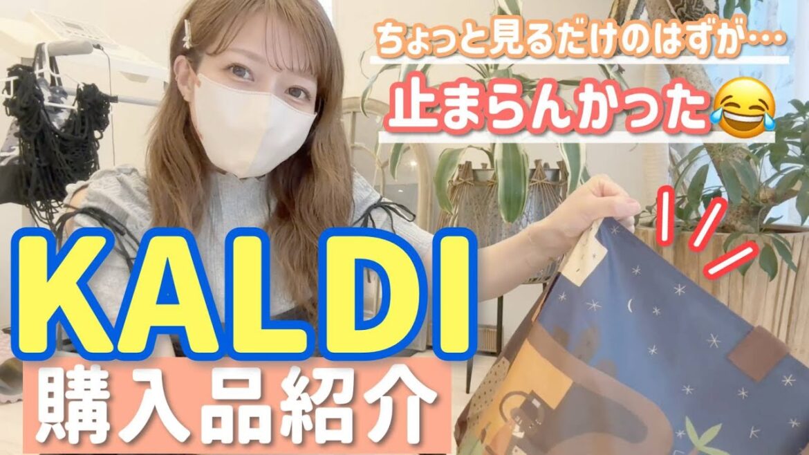 【カルディ購入品】ちょっと見るだけのはずが…買い物スイッチ入っちゃう辻あるある😂