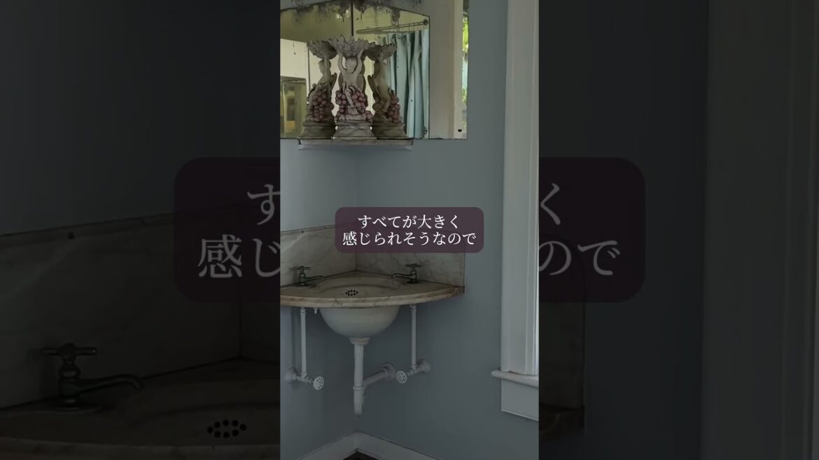 【星読み】やさしさ広がる 心の充電タイム 7月23日(水) 今日の星読み #毎日投稿 #名言 #相手の本音